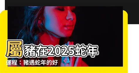 遇到蛇好運|【2025蛇年開運攻略】點光明燈、安太歲燈，掌握財。